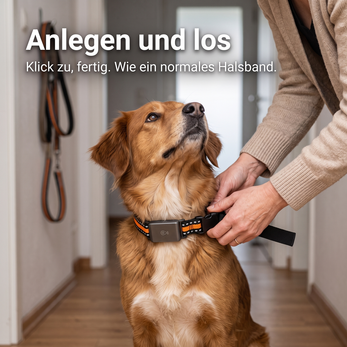 Lovypaw Scout GPS-Tracker