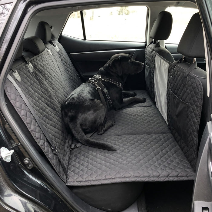 Kundenfoto: Hund auf der Lovypaw Cabin im Auto