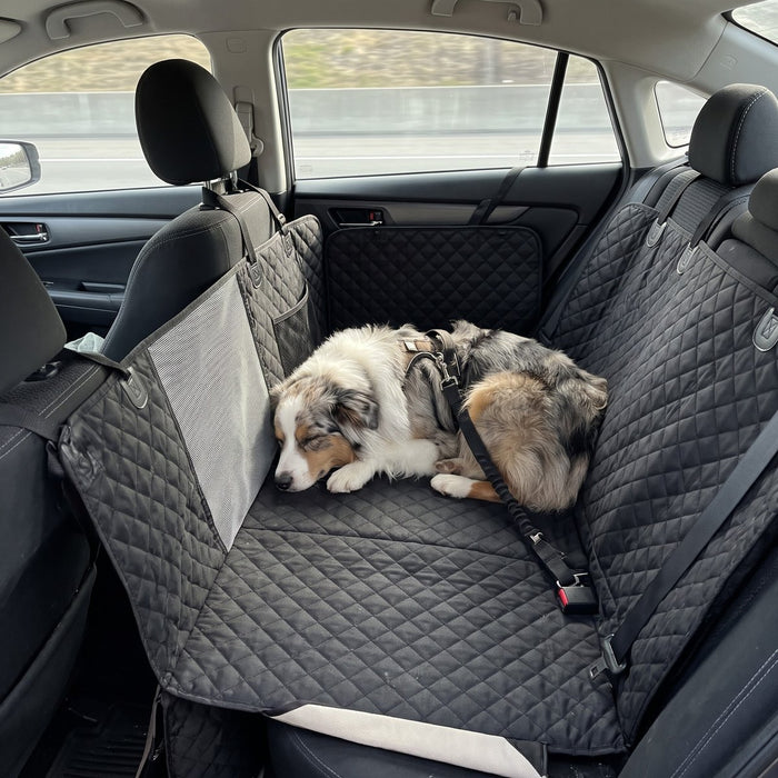 Kundenfoto: Hund auf der Lovypaw Cabin im Auto
