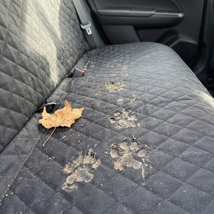 Kundenfoto: Hund auf der Lovypaw Cabin im Auto