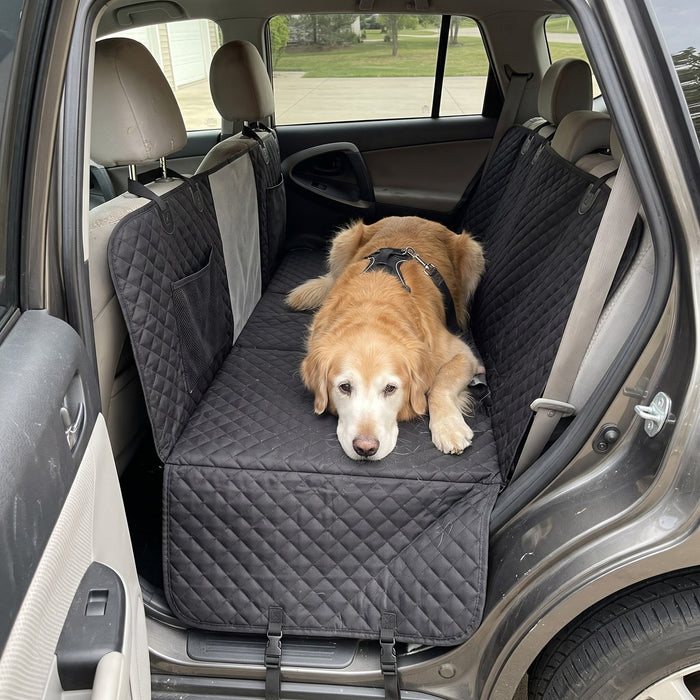 Kundenfoto: Hund auf der Lovypaw Cabin im Auto