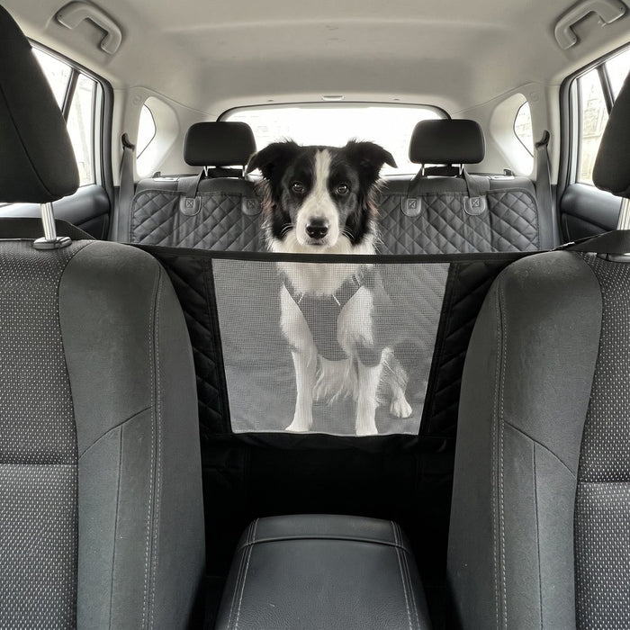 Kundenfoto: Hund auf der Lovypaw Cabin im Auto