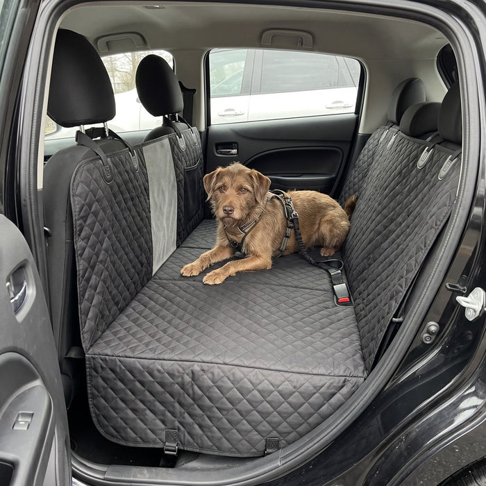Kundenfoto: Hund auf der Lovypaw Cabin im Auto