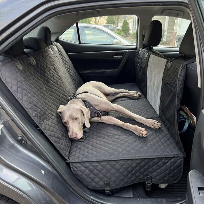 Kundenfoto: Hund auf der Lovypaw Cabin im Auto