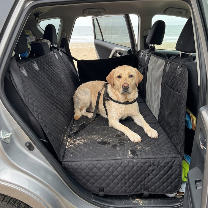 Kundenfoto: Hund auf der Lovypaw Cabin im Auto