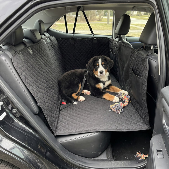 Kundenfoto: Hund auf der Lovypaw Cabin im Auto