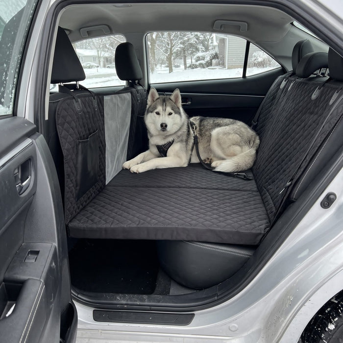 Kundenfoto: Hund auf der Lovypaw Cabin im Auto
