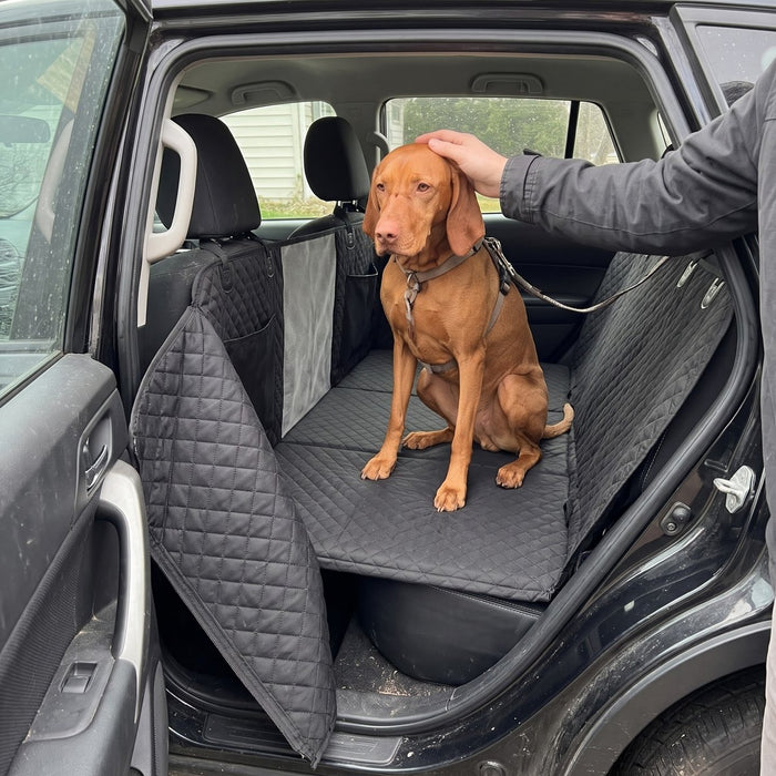 Kundenfoto: Hund auf der Lovypaw Cabin im Auto