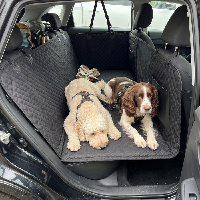 Kundenfoto: Hund auf der Lovypaw Cabin im Auto