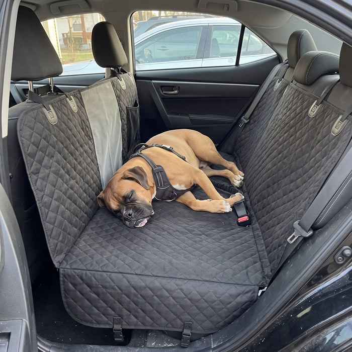 Kundenfoto: Hund auf der Lovypaw Cabin im Auto