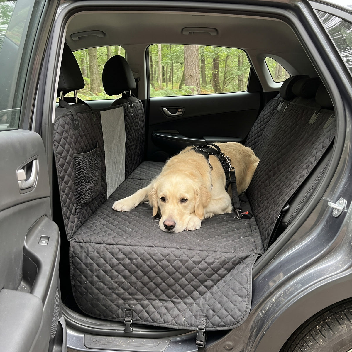 Golden Retriever liegt angeschnallt auf der Lovypaw Cabin auf der Rückbank