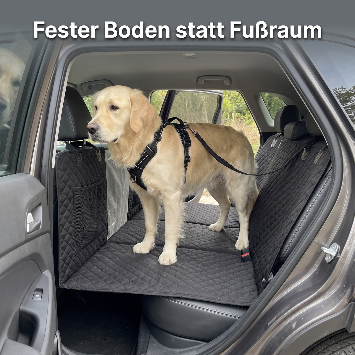 Golden Retriever steht auf dem festen Boden der Lovypaw Cabin über dem Fußraum