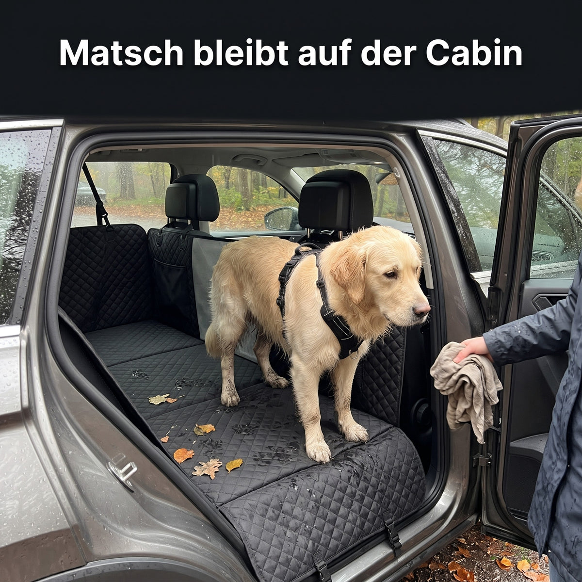 Nasser Golden Retriever mit Laub auf der Lovypaw Cabin, Halterin trocknet ihn mit einem Handtuch ab