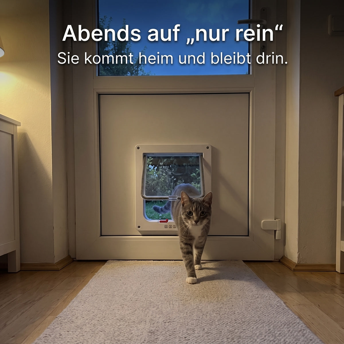 Abends auf nur rein: Sie kommt heim und bleibt drin