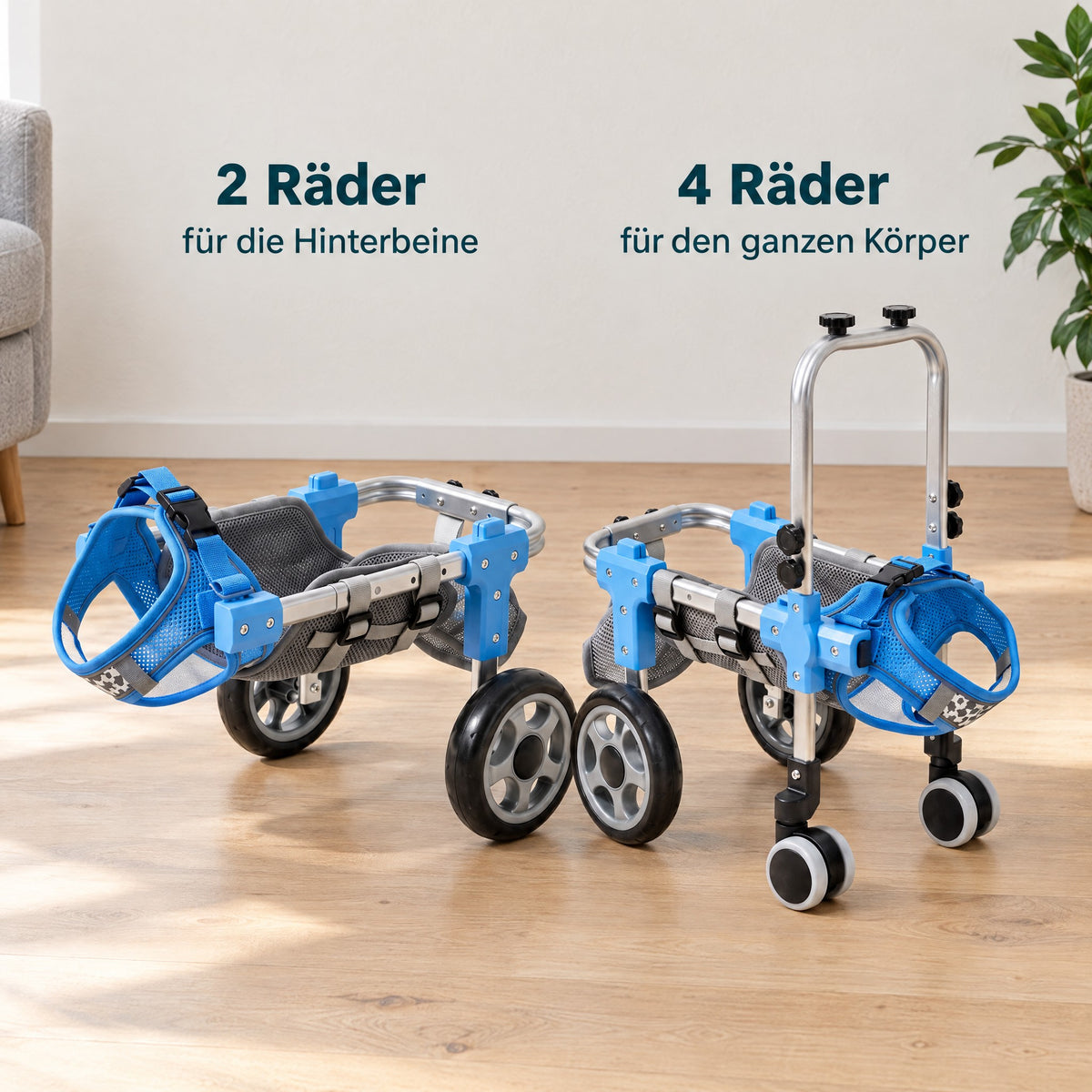 Strider mit 2 Rädern und mit 4 Rädern nebeneinander
