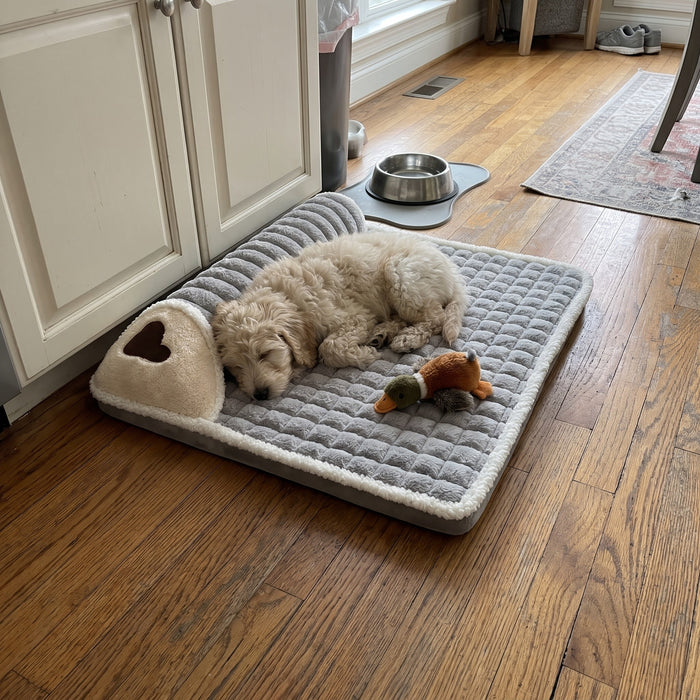 Lovypaw Nest Hundebett zu Hause