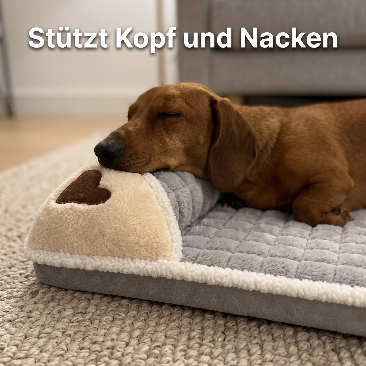 Dackel legt den Kopf auf das Kissen des Lovypaw Nest