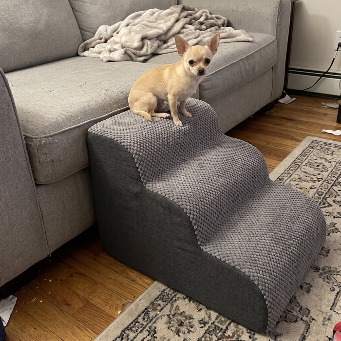 Lovypaw Rise Haustiertreppe zu Hause