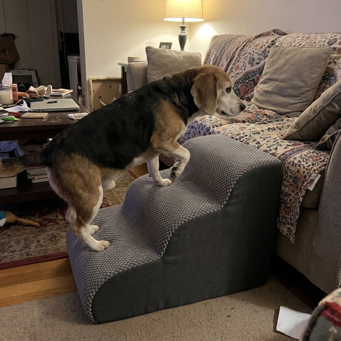 Lovypaw Rise Haustiertreppe zu Hause