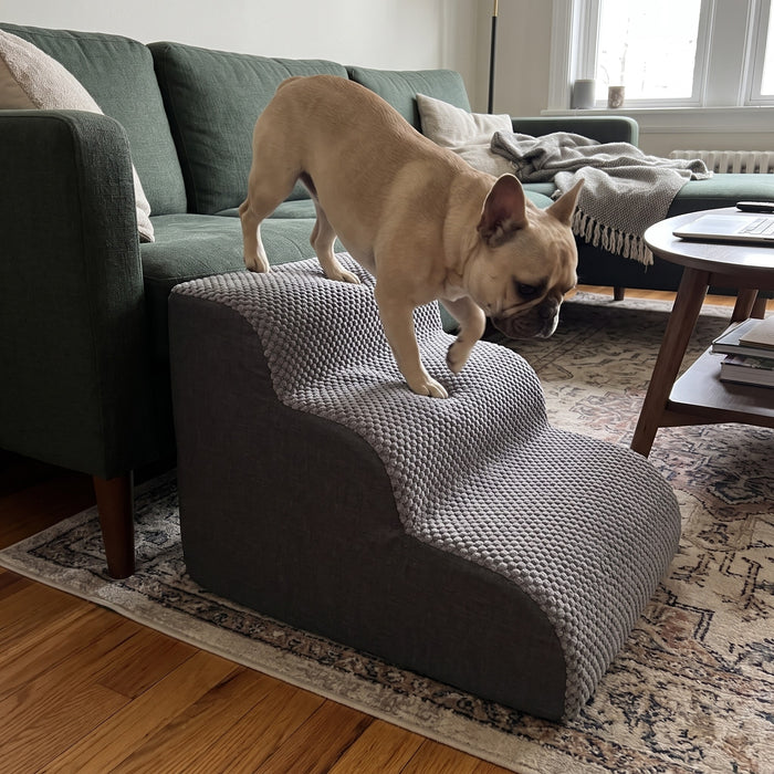 Lovypaw Rise Haustiertreppe zu Hause