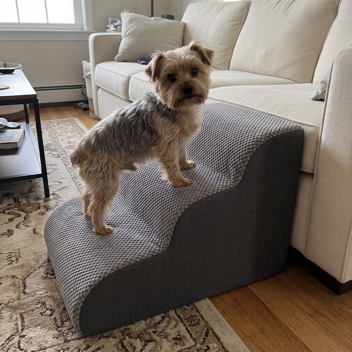 Lovypaw Rise Haustiertreppe zu Hause