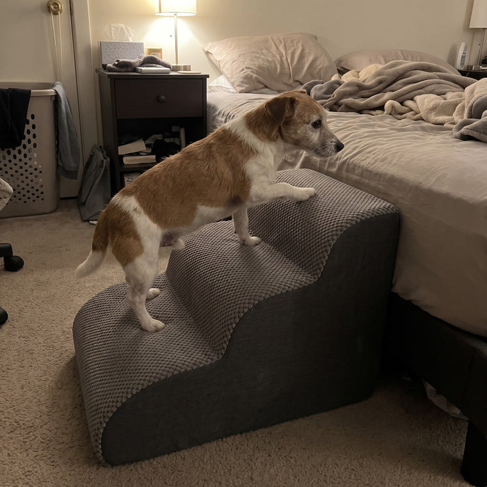 Lovypaw Rise Haustiertreppe zu Hause