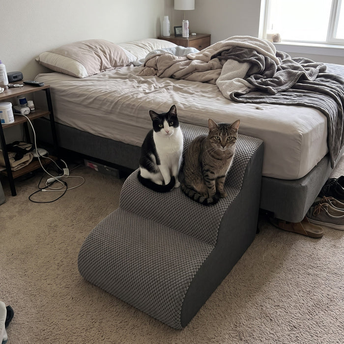Lovypaw Rise Haustiertreppe zu Hause