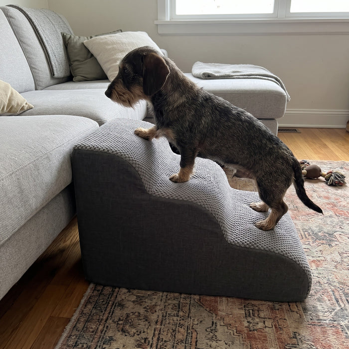 Lovypaw Rise Haustiertreppe zu Hause
