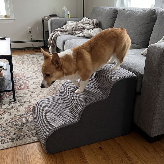 Lovypaw Rise Haustiertreppe zu Hause