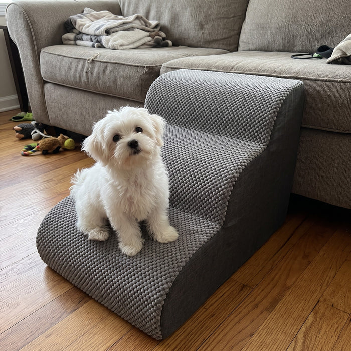 Lovypaw Rise Haustiertreppe zu Hause