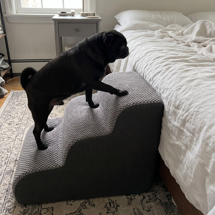 Lovypaw Rise Haustiertreppe zu Hause