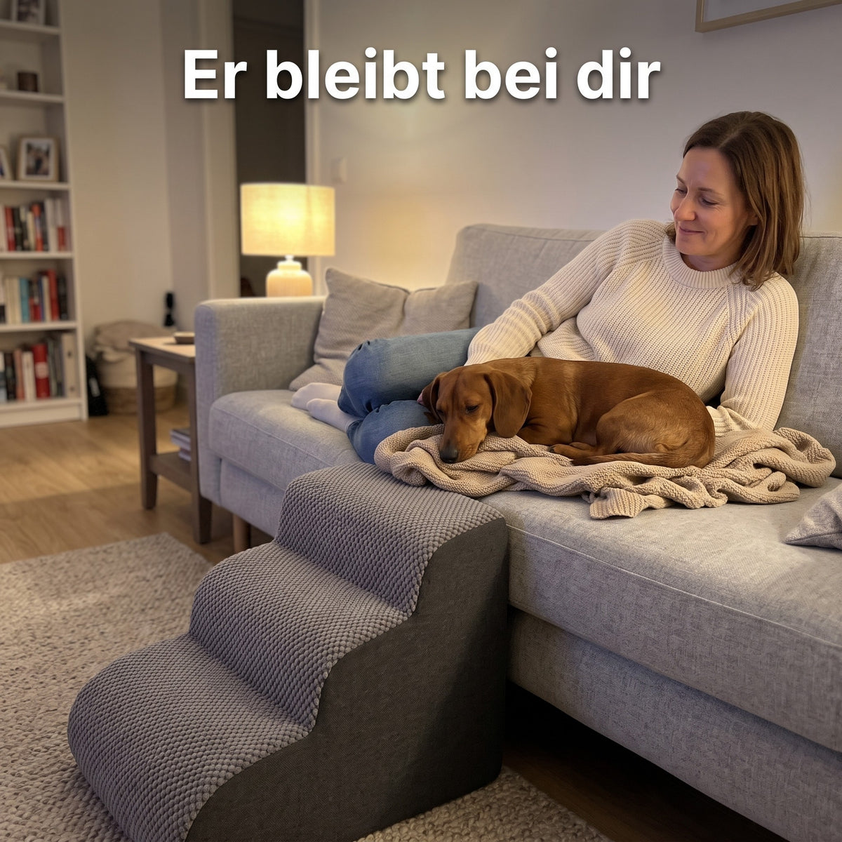 Dackel liegt neben seiner Halterin auf dem Sofa, die Lovypaw Rise steht davor