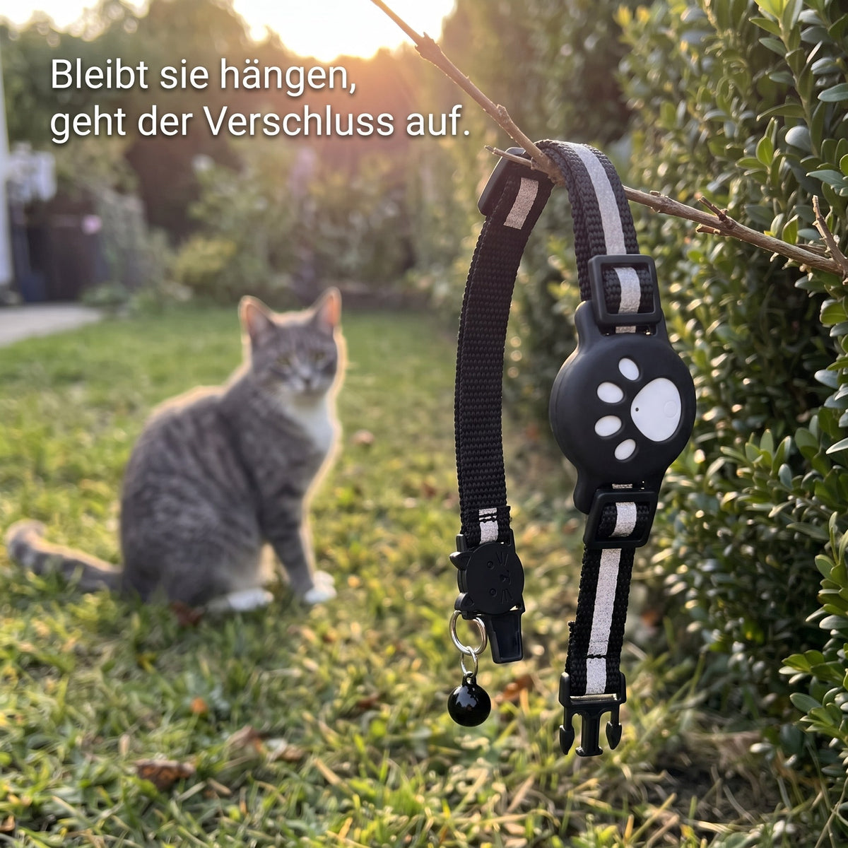 Geöffneter Sicherheitsverschluss am Katzenhalsband