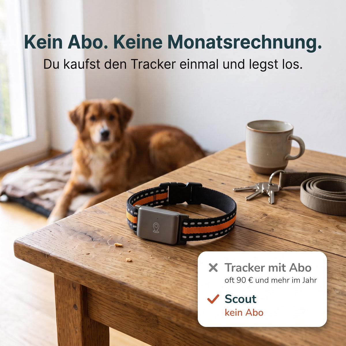 Kein Abo: Scout GPS-Tracker auf dem Tisch, der Hund wartet im Hintergrund